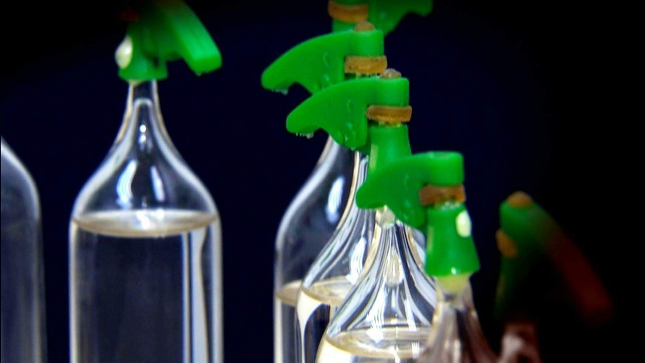 Lança-perfume: um dossiê completo sobre a droga - Hospital Santa Mônica